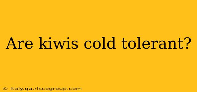 Are kiwis cold tolerant?