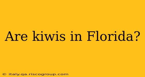 Are kiwis in Florida?