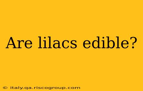 Are lilacs edible?