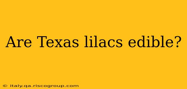 Are Texas lilacs edible?