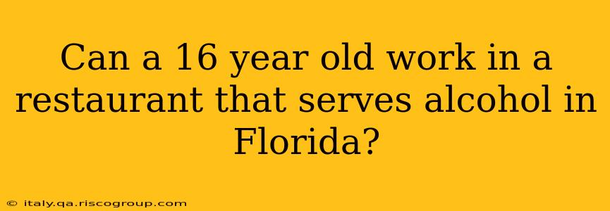 Can a 16 year old work in a restaurant that serves alcohol in Florida?