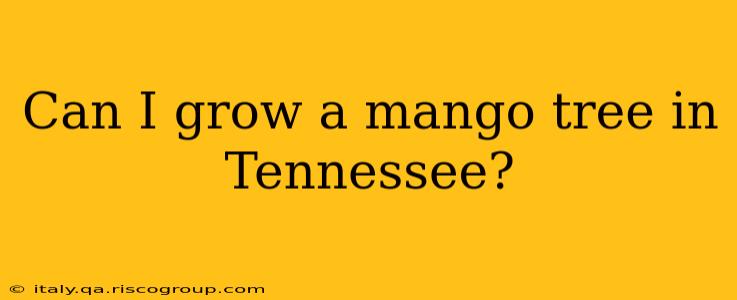 Can I grow a mango tree in Tennessee?