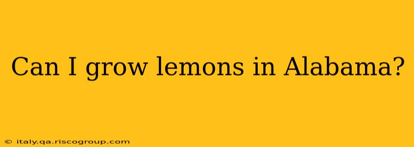 Can I grow lemons in Alabama?