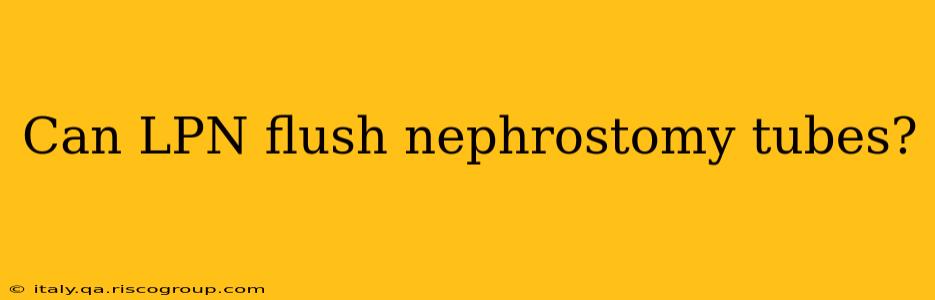 Can LPN flush nephrostomy tubes?