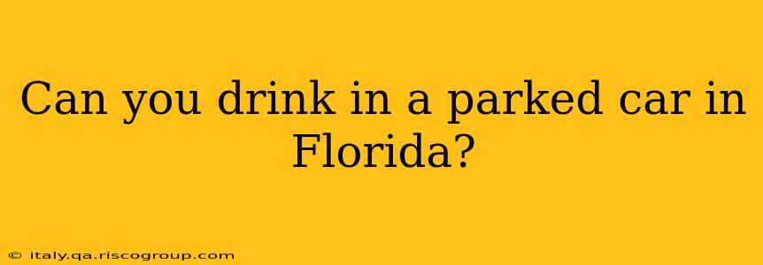 Can you drink in a parked car in Florida?