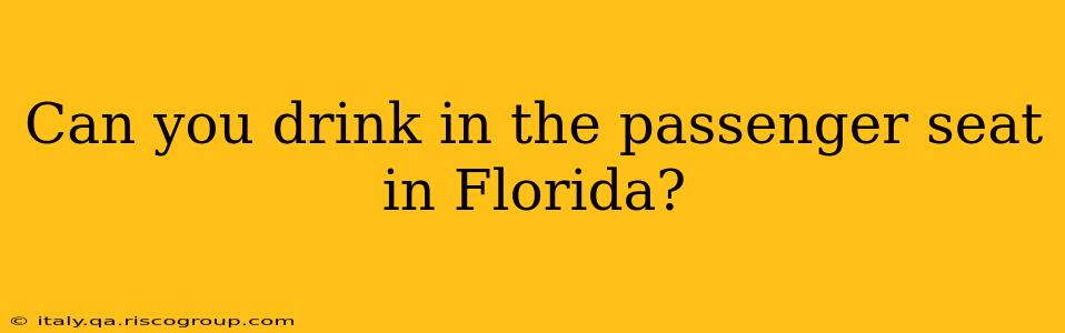 Can you drink in the passenger seat in Florida?