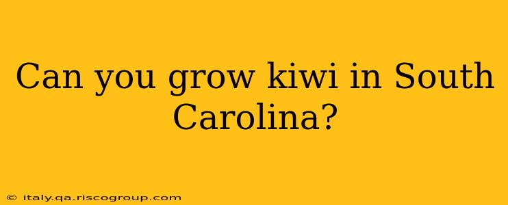 Can you grow kiwi in South Carolina?