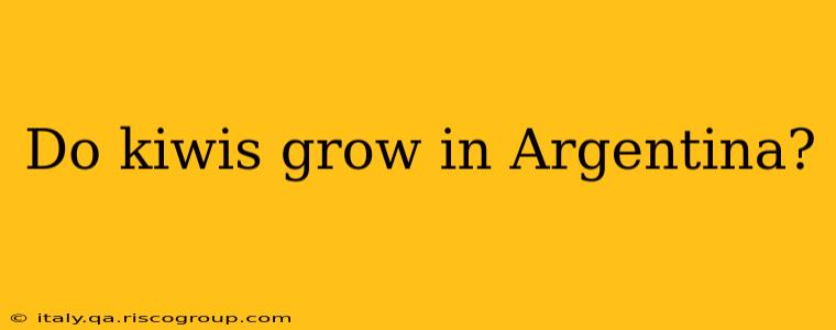 Do kiwis grow in Argentina?