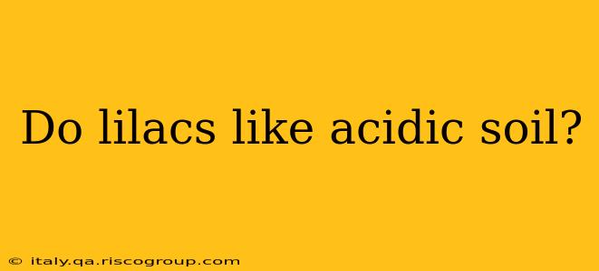 Do lilacs like acidic soil?