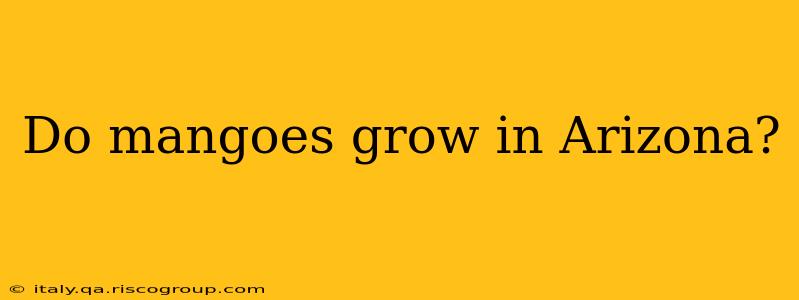 Do mangoes grow in Arizona?