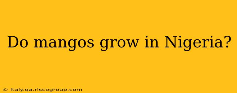 Do mangos grow in Nigeria?