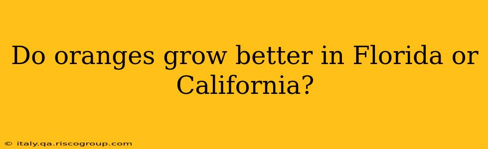 Do oranges grow better in Florida or California?