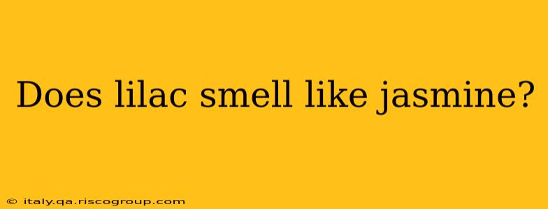 Does lilac smell like jasmine?