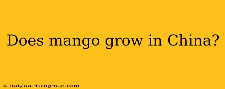 Does mango grow in China?