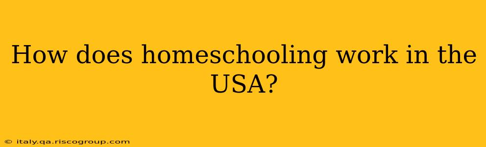 How does homeschooling work in the USA?