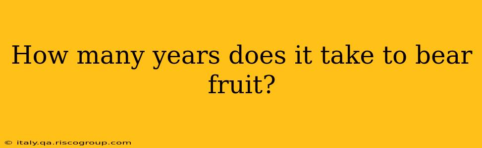 How many years does it take to bear fruit?