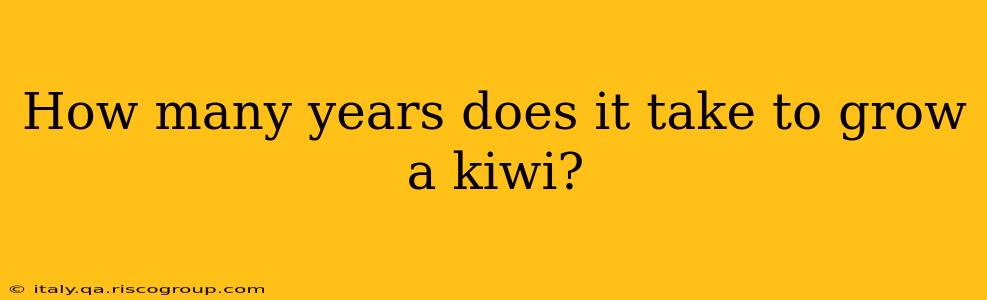 How many years does it take to grow a kiwi?