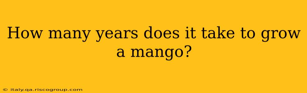 How many years does it take to grow a mango?