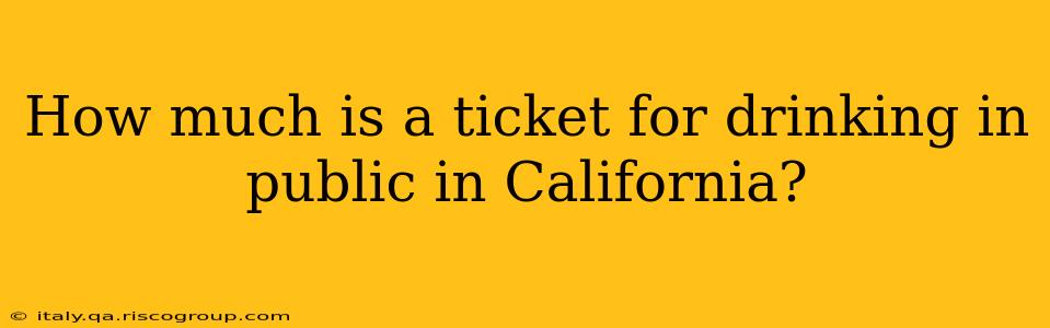 How much is a ticket for drinking in public in California?