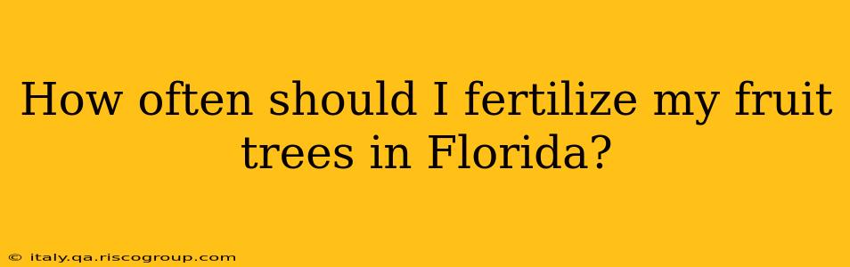 How often should I fertilize my fruit trees in Florida?