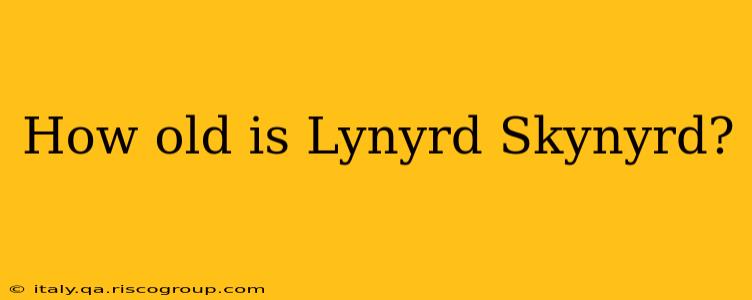 How old is Lynyrd Skynyrd?