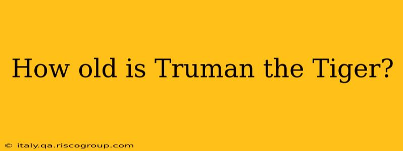 How old is Truman the Tiger?