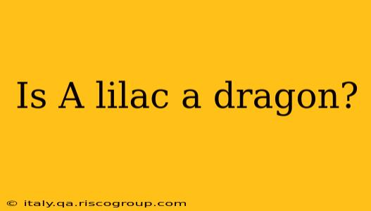 Is A lilac a dragon?