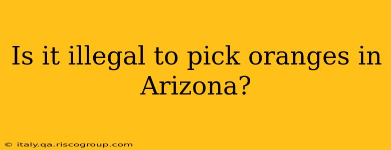 Is it illegal to pick oranges in Arizona?