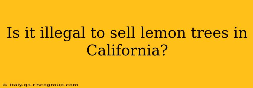 Is it illegal to sell lemon trees in California?