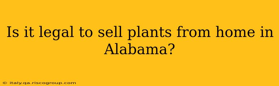 Is it legal to sell plants from home in Alabama?