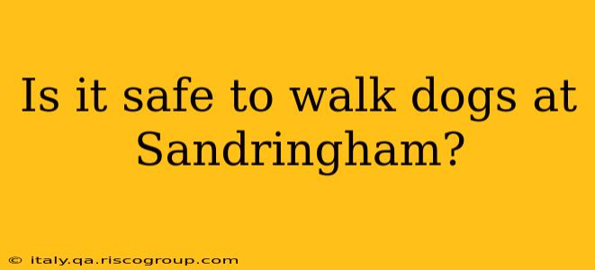 Is it safe to walk dogs at Sandringham?