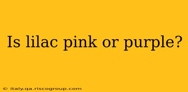 Is lilac pink or purple?