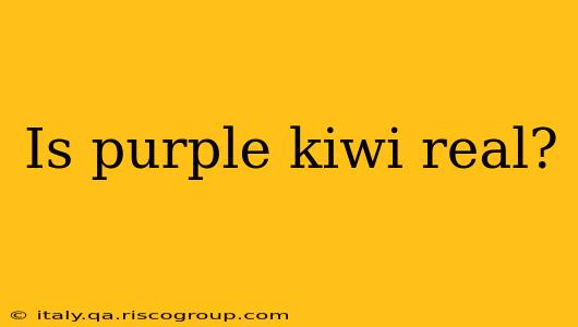 Is purple kiwi real?