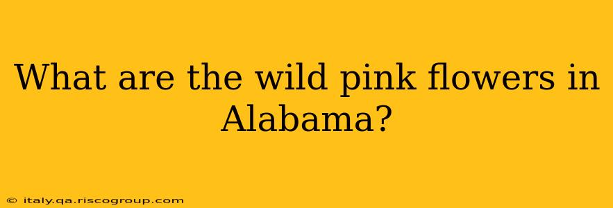 What are the wild pink flowers in Alabama?