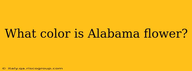 What color is Alabama flower?