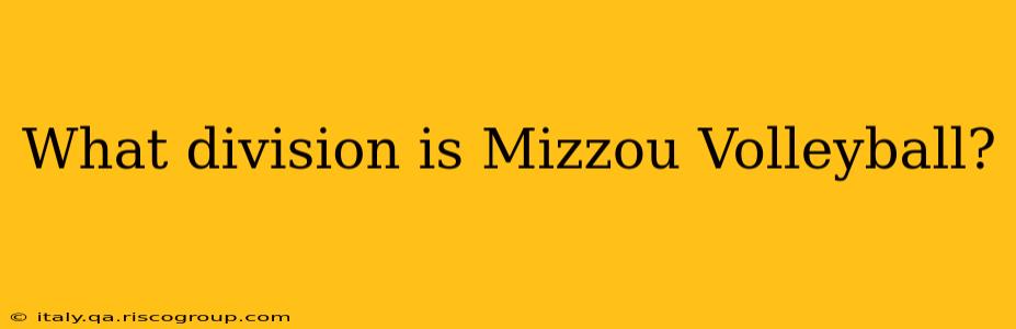 What division is Mizzou Volleyball?