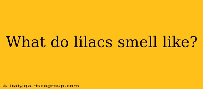 What do lilacs smell like?