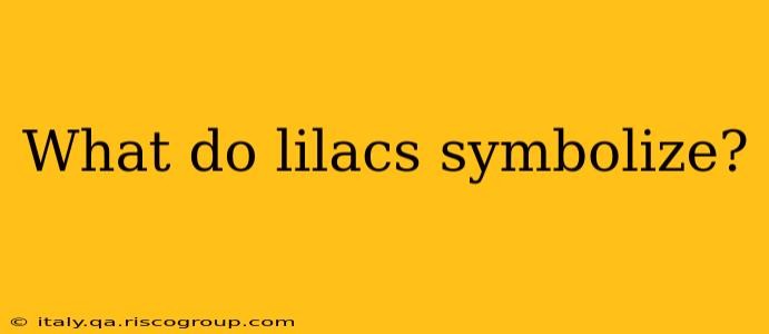 What do lilacs symbolize?