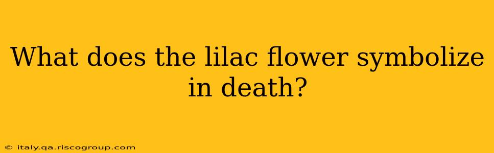 What does the lilac flower symbolize in death?