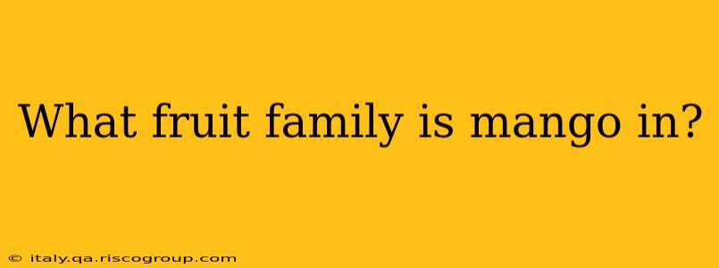 What fruit family is mango in?