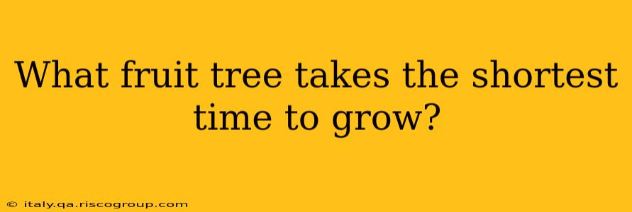 What fruit tree takes the shortest time to grow?