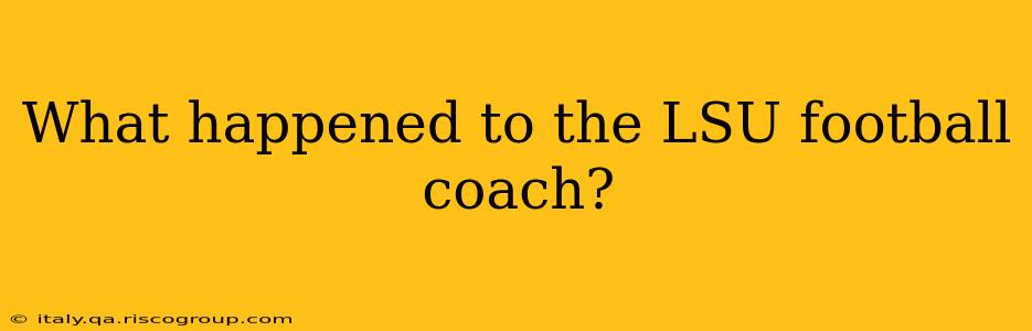 What happened to the LSU football coach?