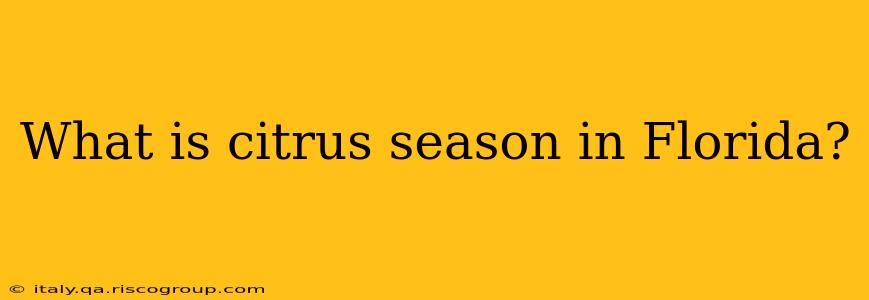 What is citrus season in Florida?