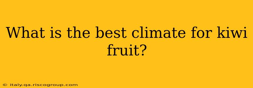 What is the best climate for kiwi fruit?