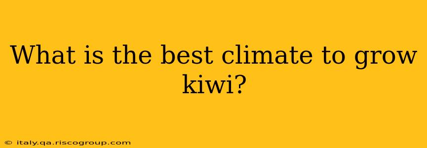 What is the best climate to grow kiwi?