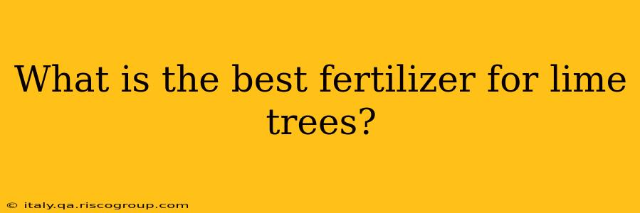 What is the best fertilizer for lime trees?