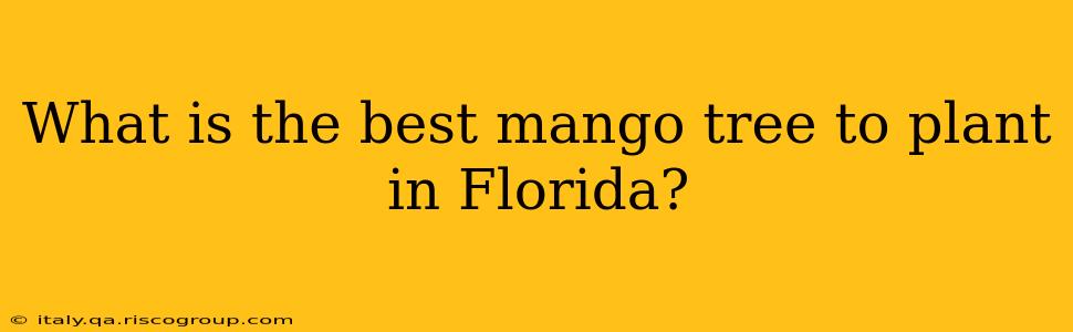 What is the best mango tree to plant in Florida?