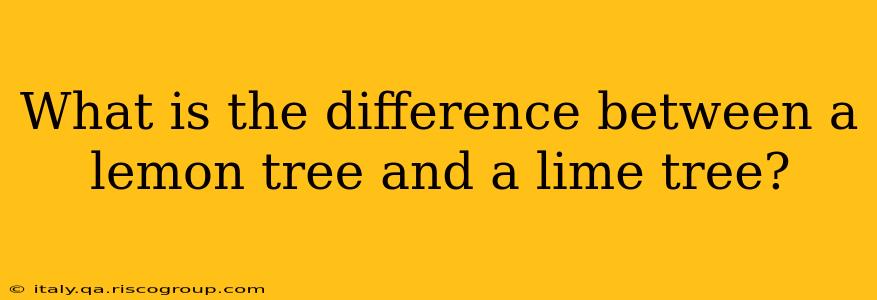 What is the difference between a lemon tree and a lime tree?