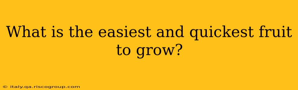 What is the easiest and quickest fruit to grow?