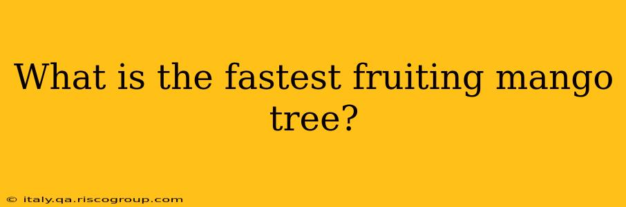 What is the fastest fruiting mango tree?